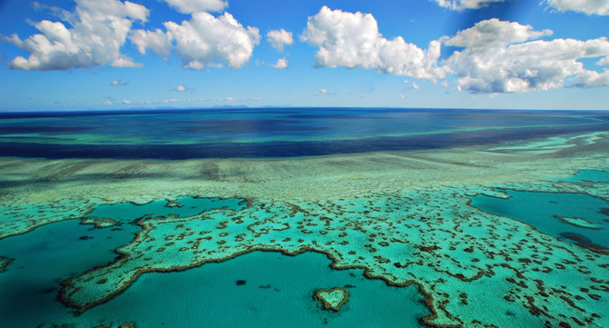 Reef Nation Did you know that the Great Barrier Reef can be seen from outer space?